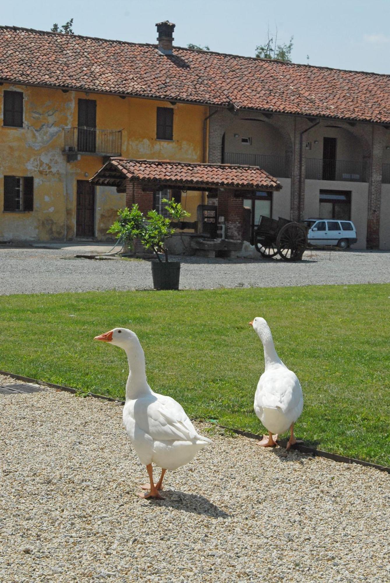 Hotel Antico Podere Propano Saluzzo Exteriör bild
